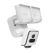 FREECAM AI Floodlight Security Camera L810